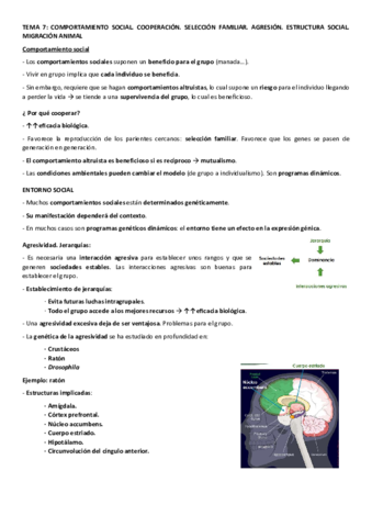 Apuntes-tema-7.pdf