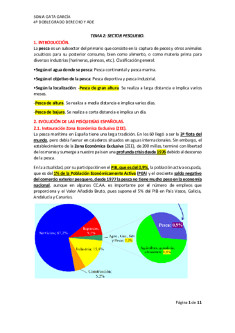 Tema-2.pdf