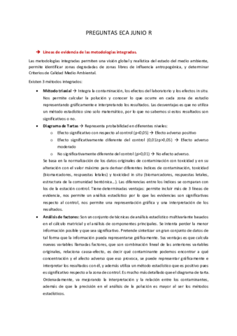 PREGUNTAS-JUNIO-R.pdf
