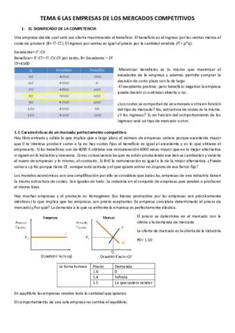 TEMA-6.pdf