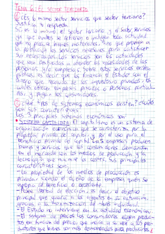 Tema-6-Sector-Terciario.pdf