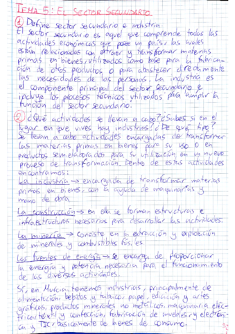 Tema-5-Sector-Secundario.pdf
