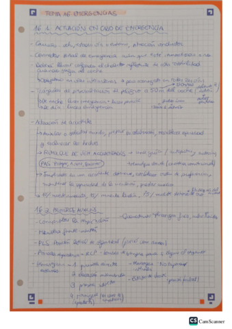 tema-16-emergencias.pdf