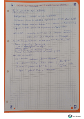 tema-10-visibilidad-mandos-y-dotacion-obligatoria.pdf