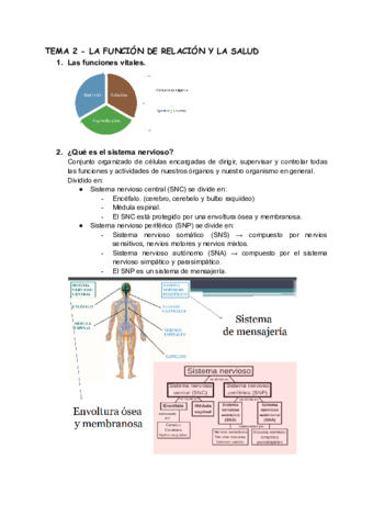 TEMA-2-LA-FUNCION-DE-RELACION-Y-LA-SALUD.pdf