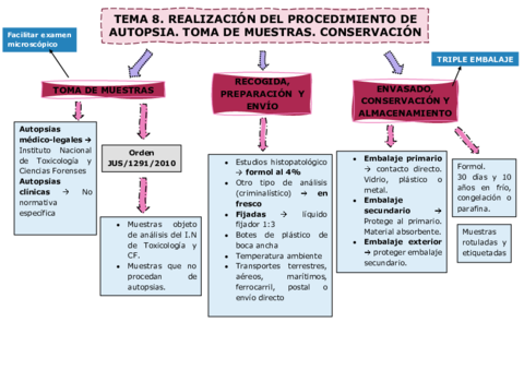 TEMA-8necropsias.pdf