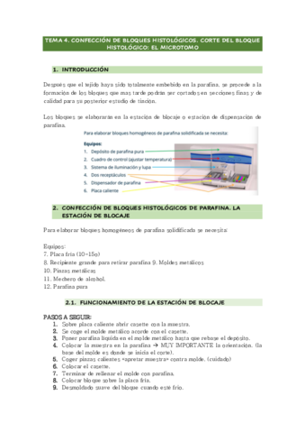TEMA-4pct.pdf