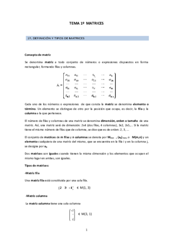 temaMATRICES.pdf