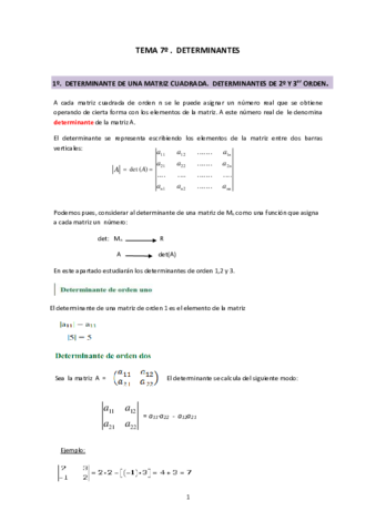TEMA-2-DETERMINANTES-2022.pdf