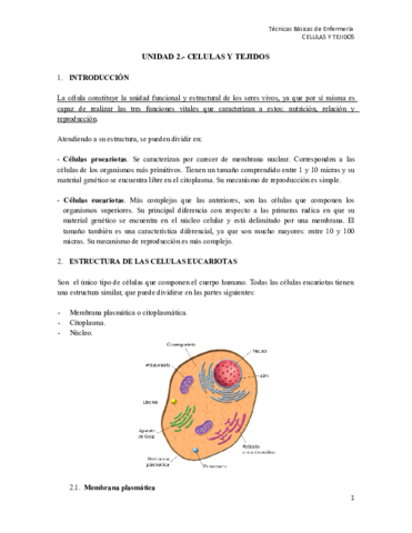 T2-TBE CÉLULA Y TEJIDOS.pdf