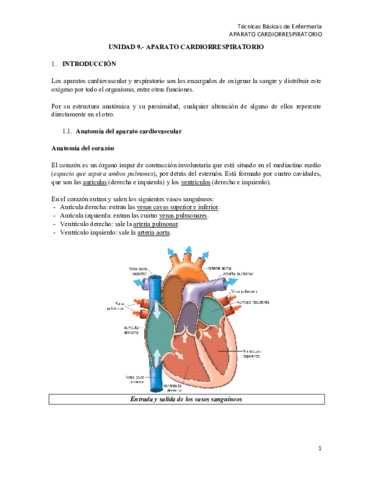 T9-TBE AP. CARDIORRESPIRTAORIO.pdf