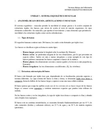 T7-TBE MÚSCULOS Y HUESOS.pdf