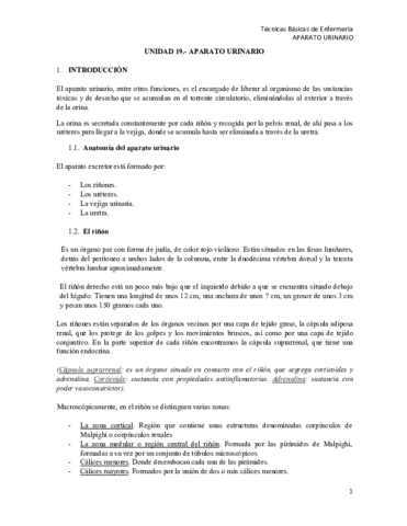 T19-TBE AP. URINARIO.pdf