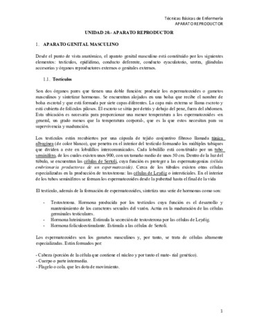 T20-TBE AP. REPRODUCTOR.pdf