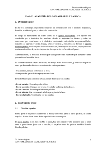 T2-ANATOMÍA DE MAXILARES Y BOCA.pdf