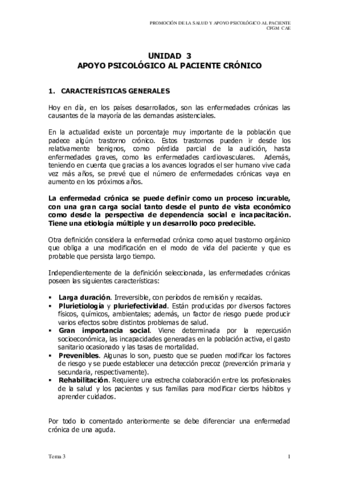 T3-PROM.pdf