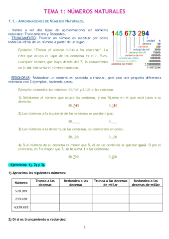 TEMA-1-Numeros-Naturales.pdf
