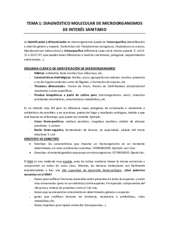 Apuntes-completos-BAMI.pdf