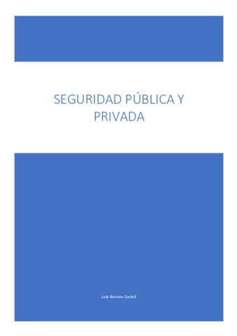 TEMARIO COMPLETO SEGURIDAD PÚBLICA Y PRIVADA..pdf