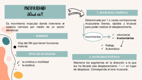 MOTILIDAD-.pdf
