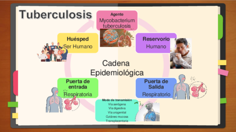 TUBERCULOSIS-.pdf