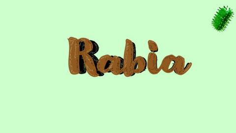 RABIA.pdf