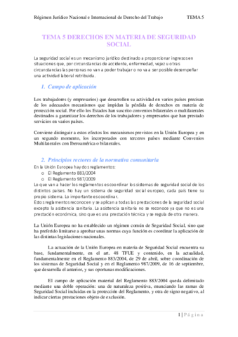 TEMA-5.pdf