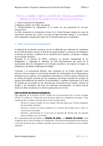TEMA-4.pdf