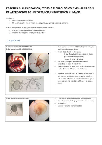 PRACTIQUES.pdf