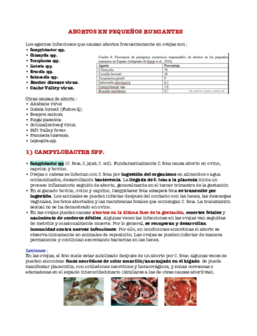 Abortos.pdf