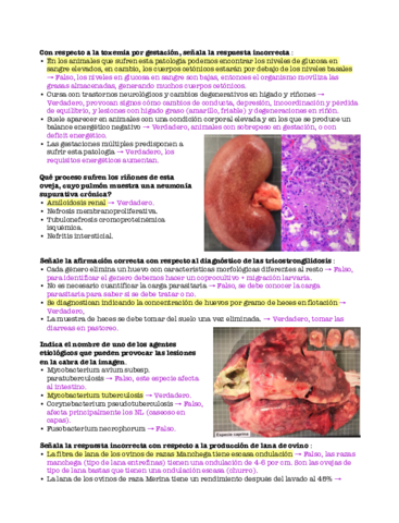 Examen-2-parcial.pdf