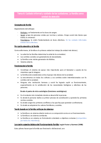 Tema-6Cuidado-Informal-Luengo.pdf