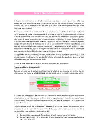 Tema-3Diagnostico-Comunitario-Luengo.pdf