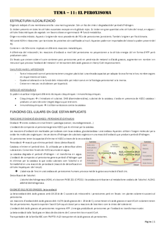Tema-11.pdf