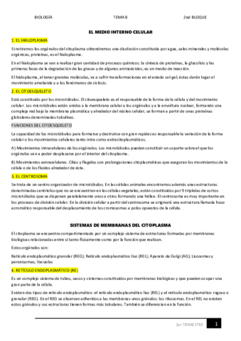 08.pdf