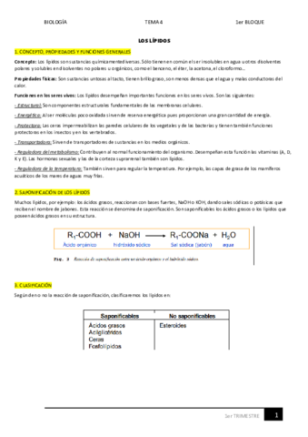 04.pdf
