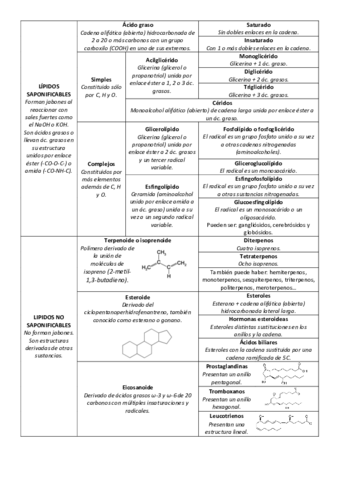04-Clasificacion-de-lipidos-ESQUEMA.pdf