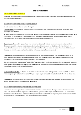 13.pdf