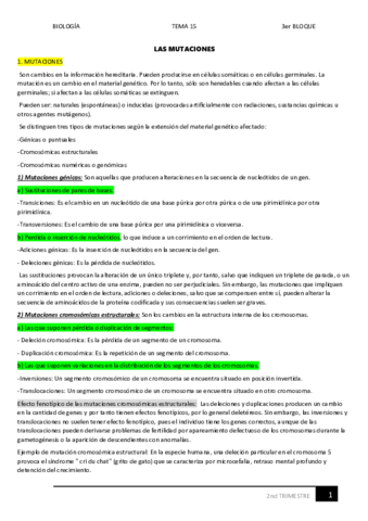 15.pdf