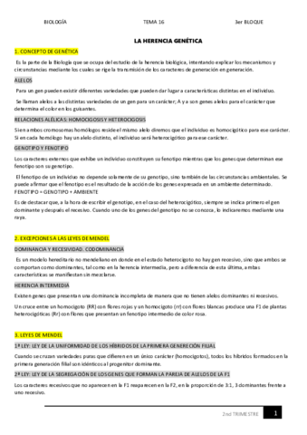 16.pdf