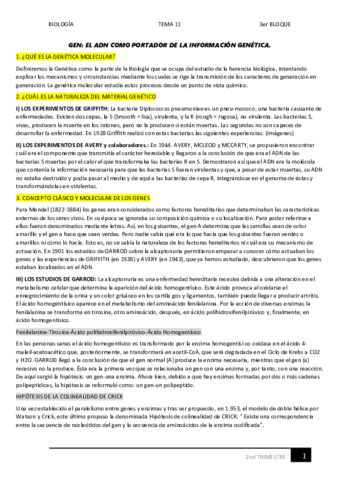 11.pdf