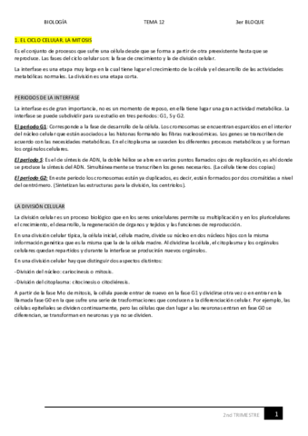 12.pdf
