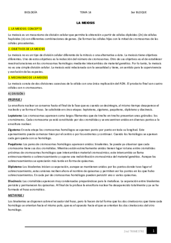 14.pdf