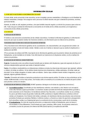 09.pdf