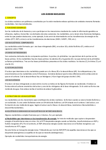 10.pdf