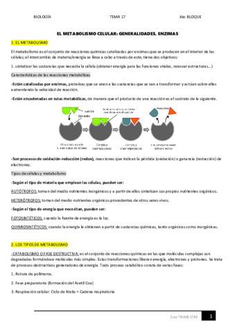 17.pdf