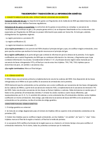 20.pdf