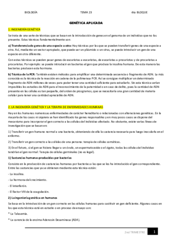 23.pdf