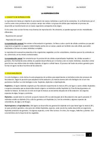 22.pdf
