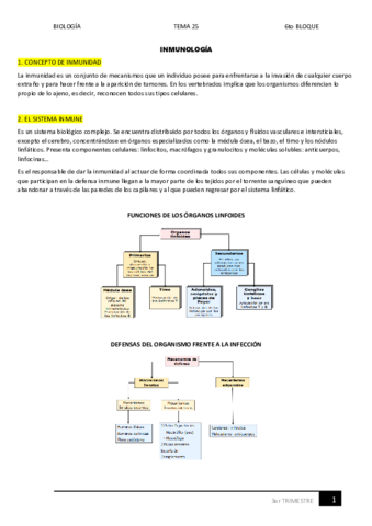 25.pdf